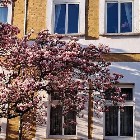 Ferienwohnung Rosi Naumburg  Exteriör bild