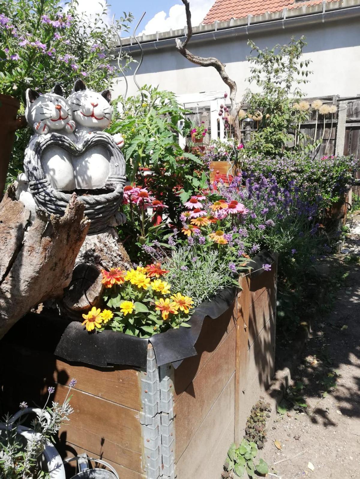 Ferienwohnung Rosi Naumburg  Exteriör bild