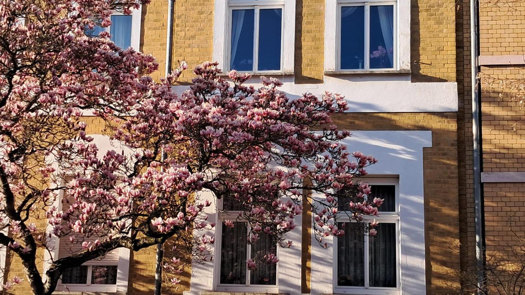 Ferienwohnung Rosi Naumburg  Exteriör bild